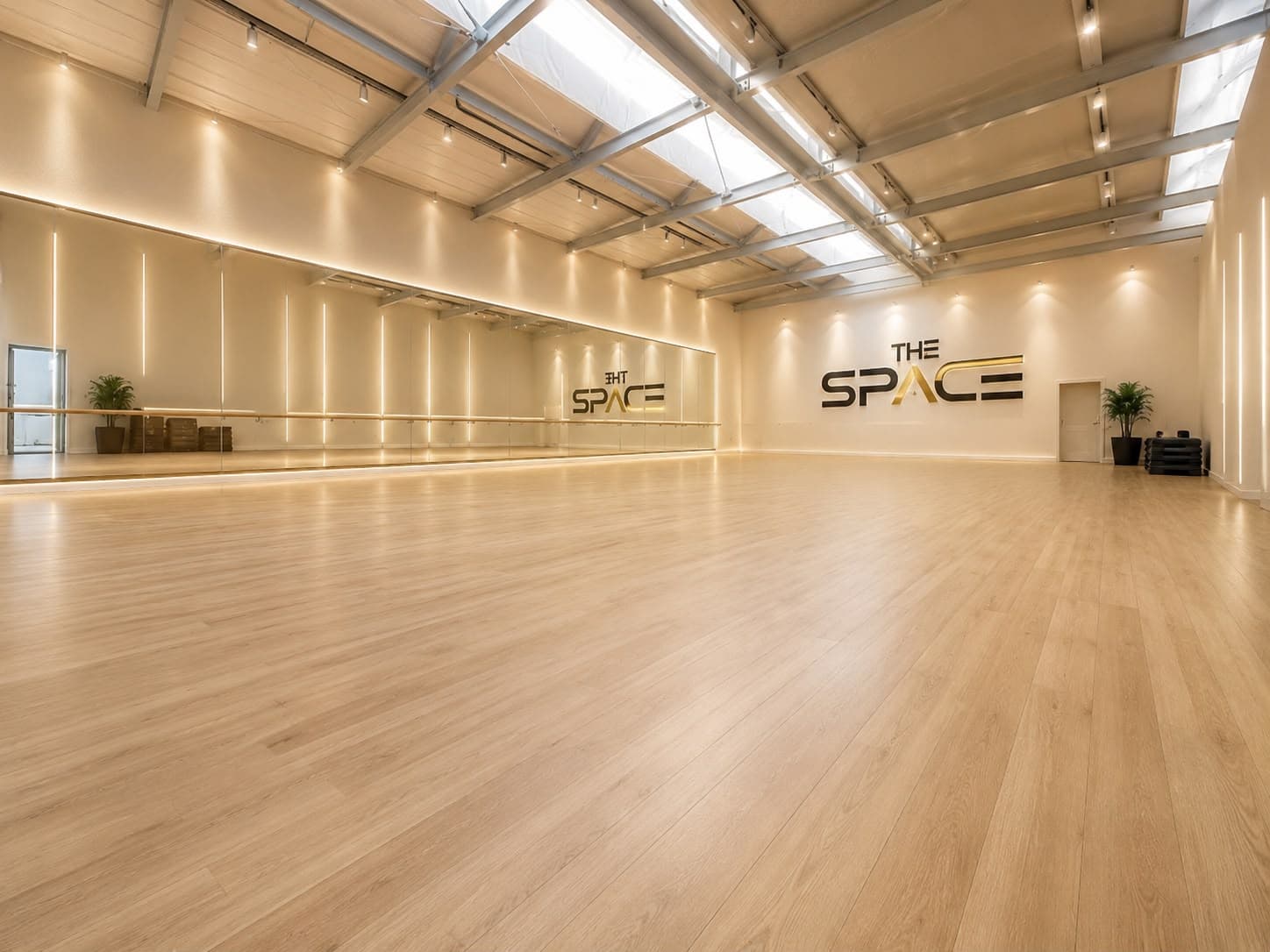 Sala Danza